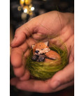 FoxMeringue