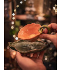 Tazza del Giardino Segreto