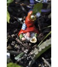 Miner Gnome